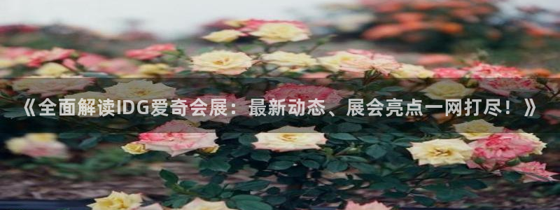 果博公司客服电话号码：《全面解读IDG爱奇会展：最新动态、展会亮点一网打尽！》