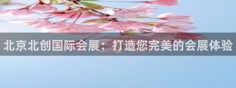 果博公司客服怎么样：北京北创国际会展：打造您完美的会展体验