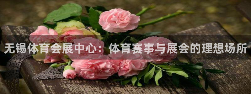 果博电话：无锡体育会展中心：体育赛事与展会的理想场所