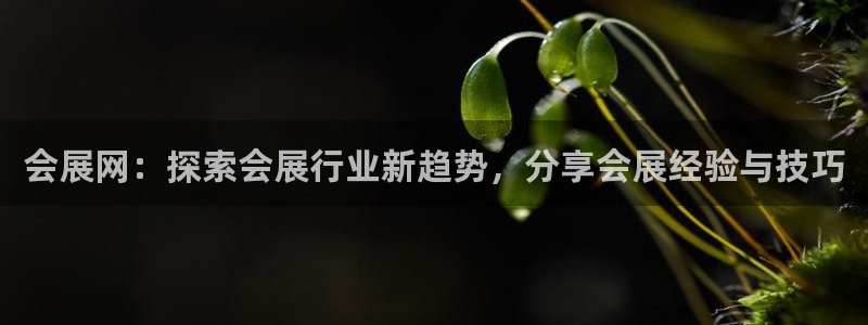 果博平台怎么下载?：会展网：探索会展行业新趋势，分享会展经验与技巧