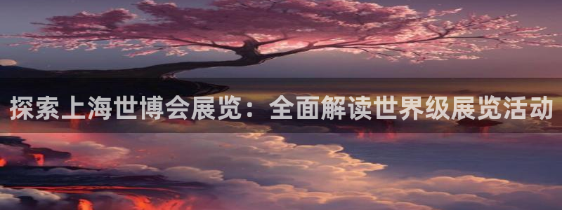 果博公司注册：探索上海世博会展览：全面解读世界级展览活动