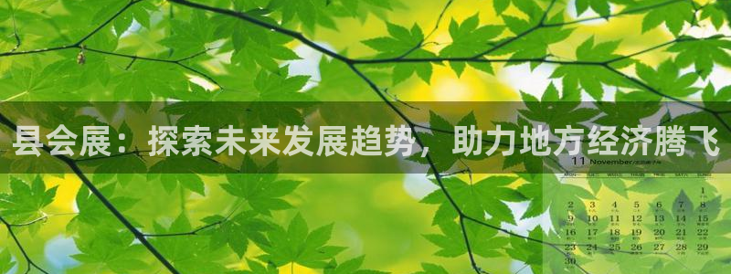 下载果博博东方：县会展：探索未来发展趋势，助力地方经济腾飞