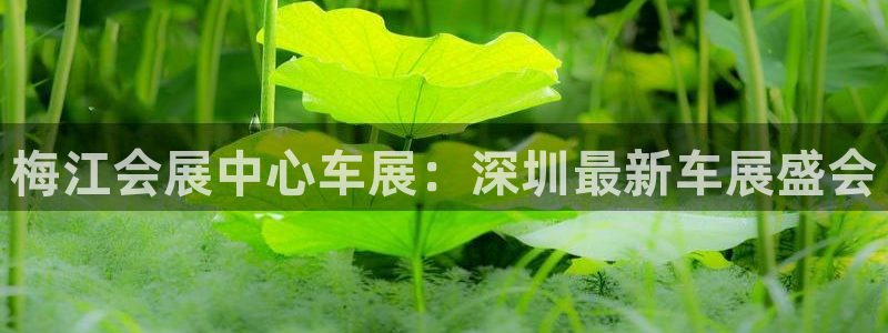 果博注册充值怎么充：梅江会展中心车展：深