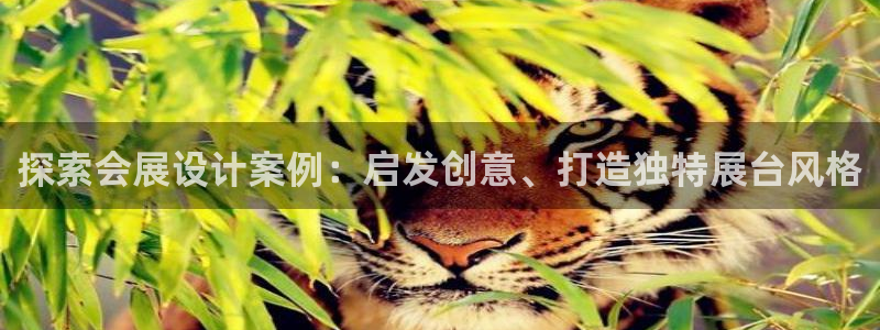 苹果电脑可以下载博易大师吗：探索会展设计
