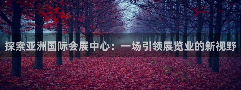 电脑怎么下载果考网：探索亚洲国际会展中心：一场引领展览业的新视野
