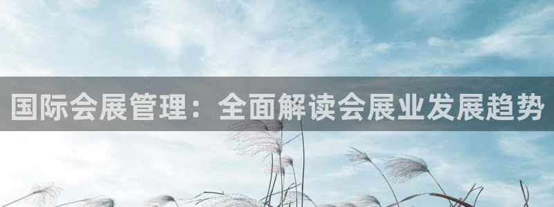 苹果电脑怎么下载伯索：国际会展管理：全面
