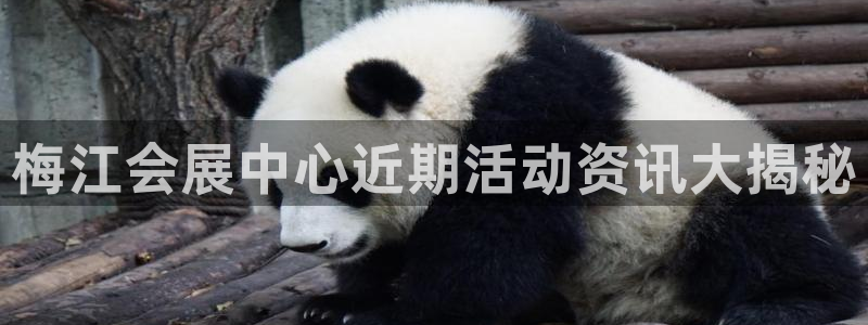果博平台真实吗安全吗可靠吗：梅江会展中心近期活动资讯大揭秘