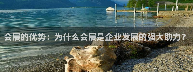 果博注册会员多少钱：会展的优势：为什么会展是企业发展的强大助力？