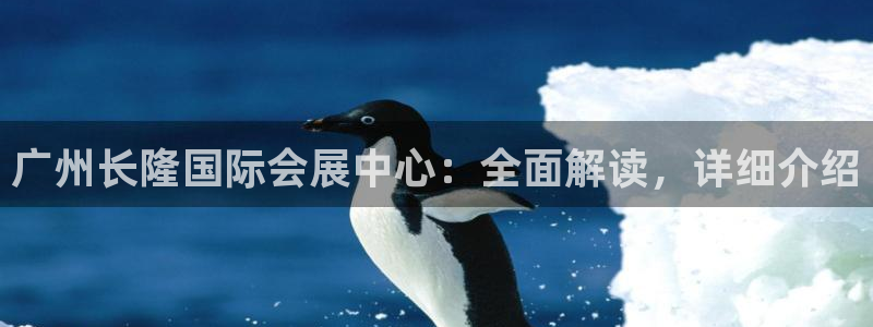 果博平台开户电话查询：广州长隆国际会展中心：全面解读，详细介绍