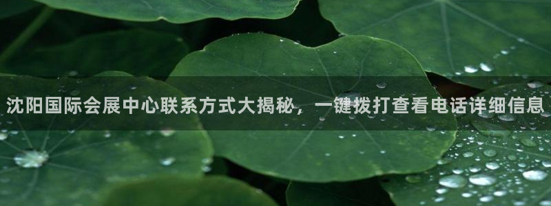果博代理电话多少号码：沈阳国际会展中心联系方式大揭秘，一键拨打查看电话详细信息