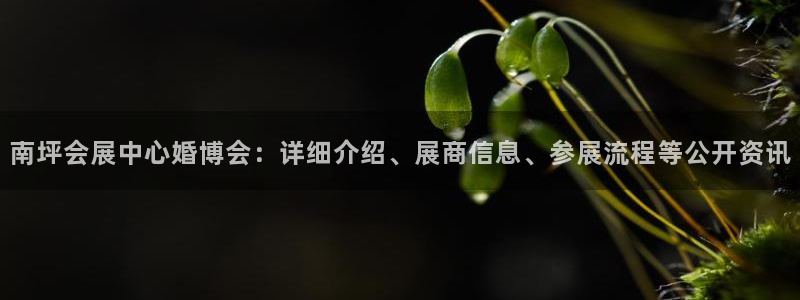 果博公司客服联系方式：南坪会展中心婚博会：详细介绍、展商信息、参展流程等公开资讯