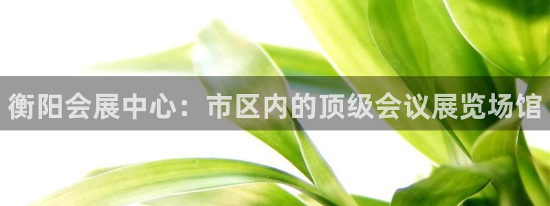 果博公司直属会员开户：衡阳会展中心：市区内的顶级会议展览场馆
