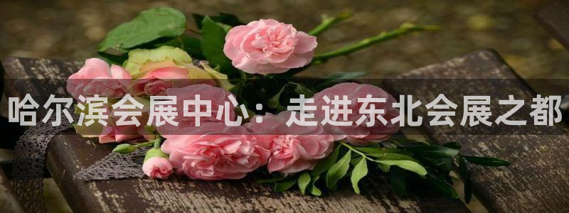 果博平台开户电话号码：哈尔滨会展中心：走进东北会展之都