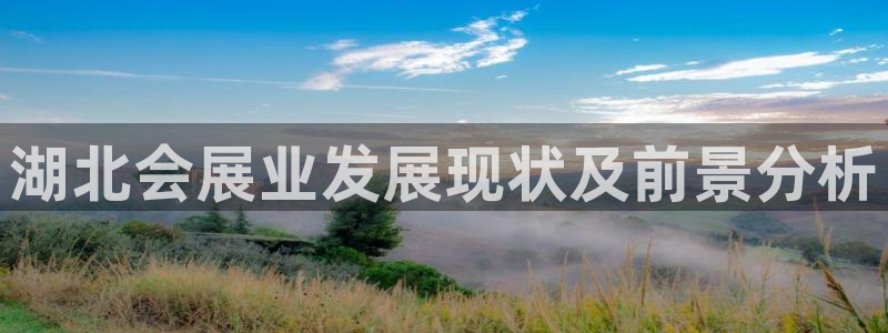果博代理电话多少号码：湖北会展业发展现状及前景分析
