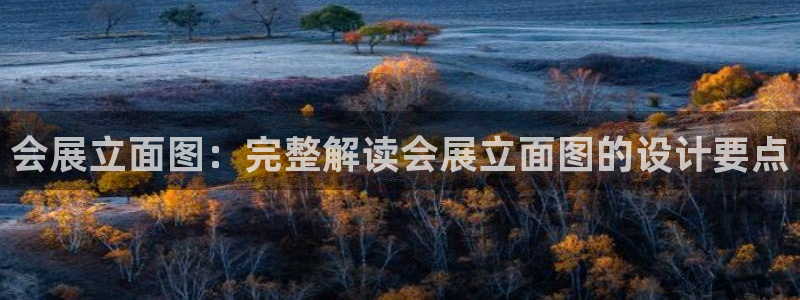 果博平台真实吗安全吗可信吗安全吗：会展立面图：完整解读会展立面图的设计要点