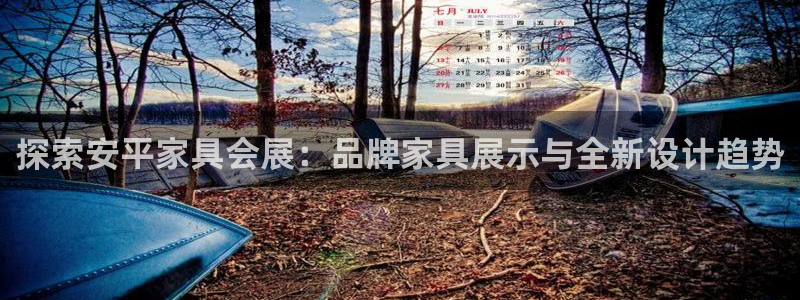 果博公司会员账号开户：探索安平家具会展：品牌家具展示与全新设计趋势