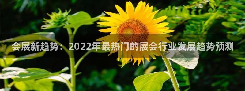 果博注册平台怎么注册不了