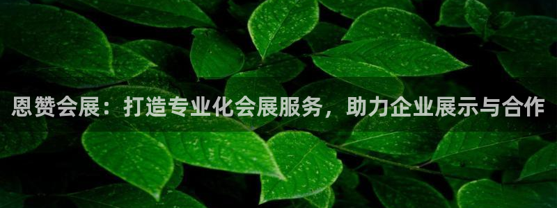 果博公司联系电话