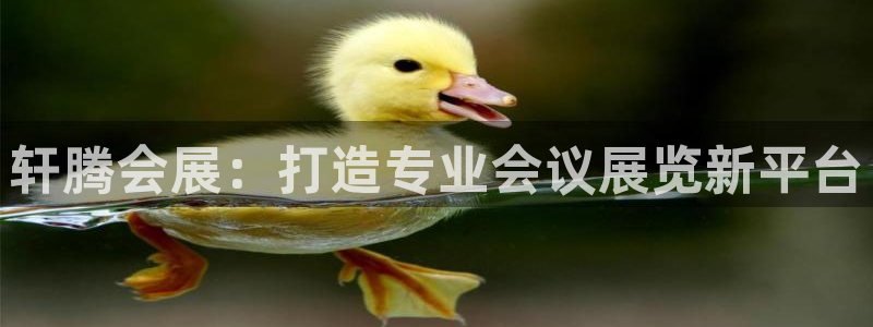 果博平台真实吗知乎