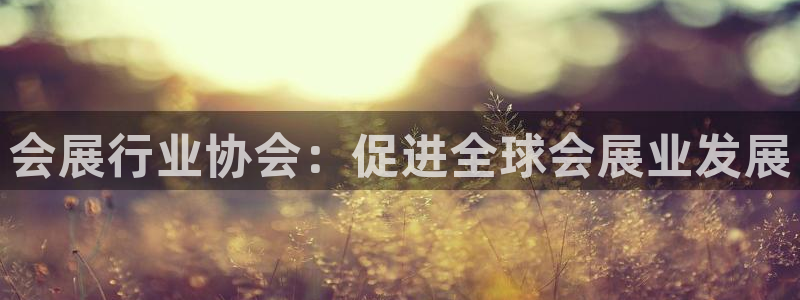 果博服务电话：会展行业协会：促进全球会展业发展
