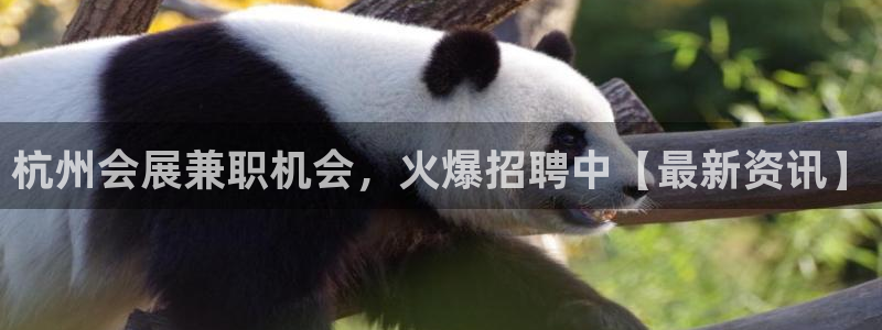 果博注册平台怎么注册的：杭州会展兼职机会，火爆招聘中【最新资讯】