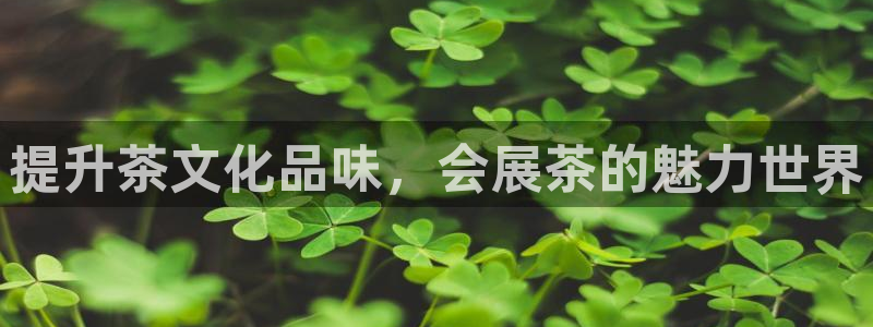 果博注册平台怎么注册：提升茶文化品味，会展茶的魅力世界
