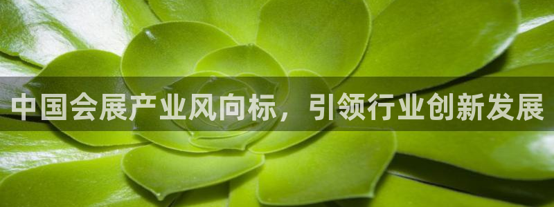果博手机下载