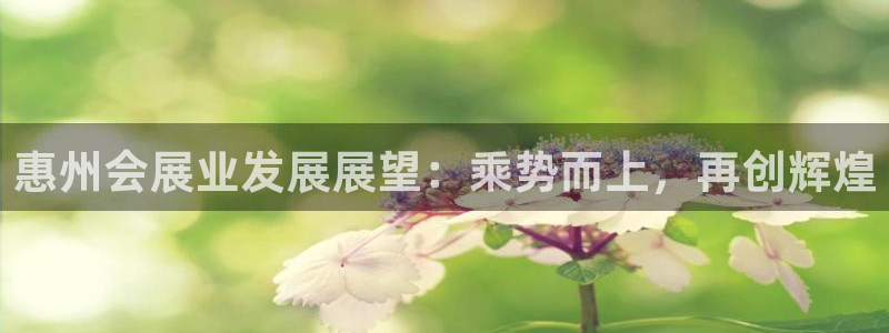 果博公司网站