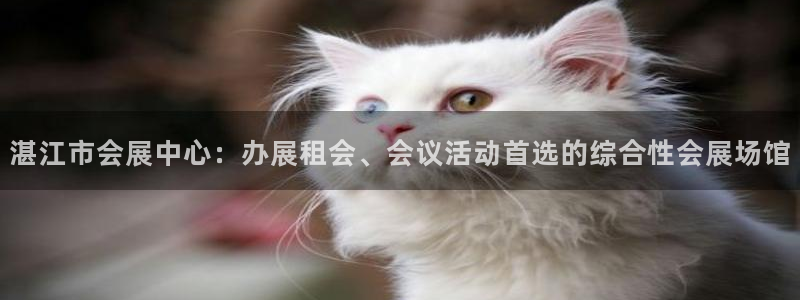 果博公司直属会员开户
