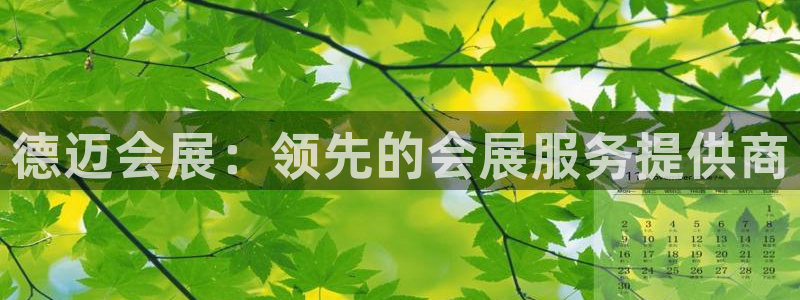 果博公司怎么开户：德迈会展：领先的会展服务提供商