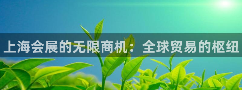 果博注册客服电话：上海会展的无限商机：全