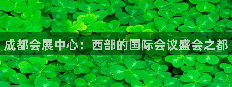 果博公司在线客服：成都会展中心：西部的国际会议盛会之都