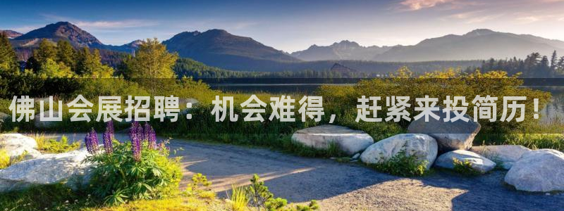 果博平台开户电话号码