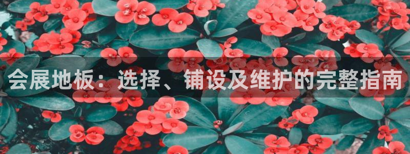 果博注册账号链接：会展地板：选择、铺设及