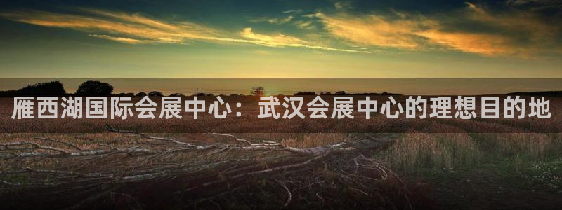 果博平台开户电话：雁西湖国际会展中心：武汉会展中心的理想目的地