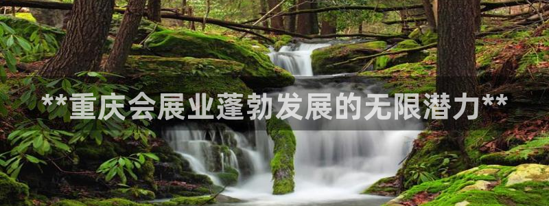果博平台客服：**重庆会展业蓬勃发展的无