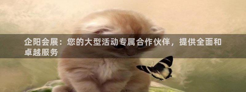 果博官网客服电话号码查询：企阳会展：您的大型活动专属合作伙伴，提供全面和
卓越服务