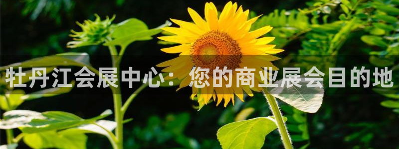 果博客服电话多少：牡丹江会展中心：您的商业展会目的地