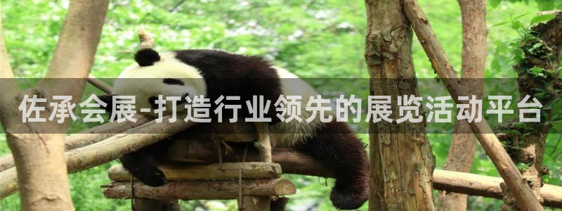 果博公司会员开户：佐承会展-打造行业领先的展览活动平台