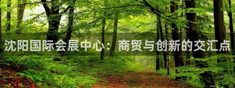 果博公司怎么注册会员：沈阳国际会展中心：商贸与创新的交汇点