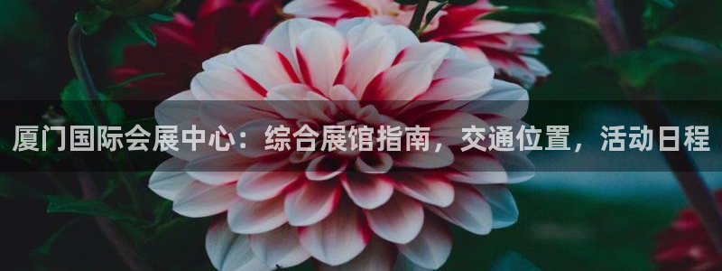果博平台真实吗：厦门国际会展中心：综合展馆指南，交通位置，活动日程