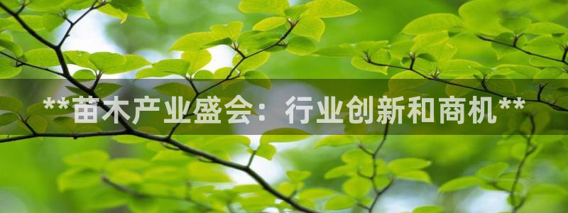 果博平台真实吗安全吗可信吗是真的吗：**苗木产业盛会：行业创新和商机**
