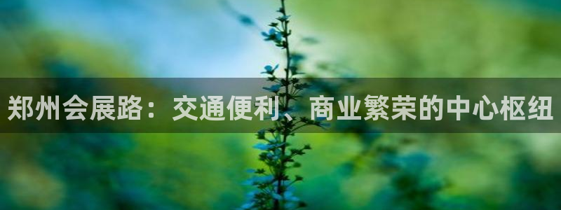 果博注册会员多少钱：郑州会展路：交通便利、商业繁荣的中心枢纽