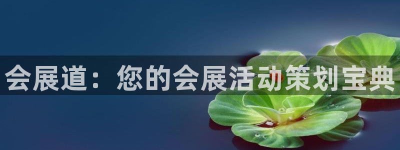 苹果电脑怎么下载博弈大师等软件：会展道：您的会展活动策划宝典