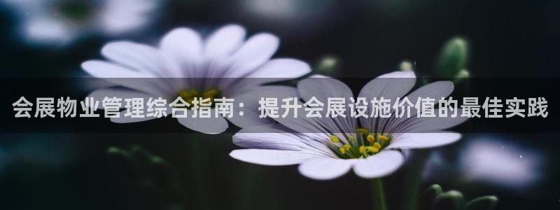 果博公司客服电话多少：会展物业管理综合指南：提升会展设施价值的最佳实践
