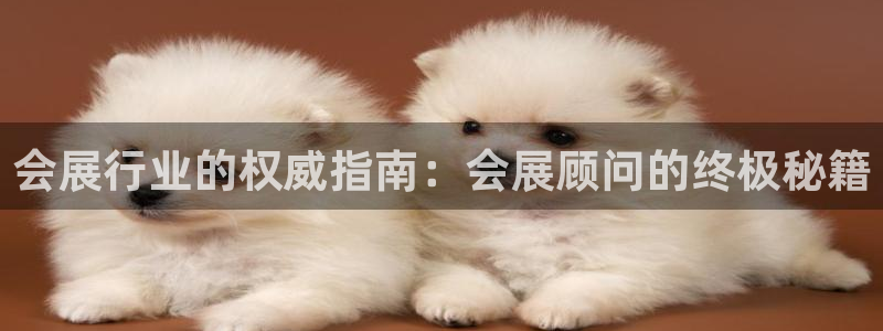 果博旗舰厅：会展行业的权威指南：会展顾问的终极秘籍