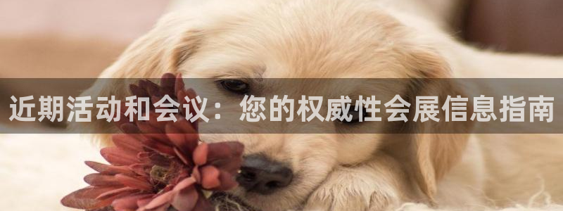 果博平台真实吗知乎推荐：近期活动和会议：您的权威性会展信息指南