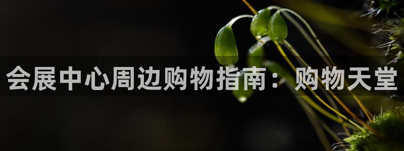 果博总台电话：会展中心周边购物指南：购物天堂