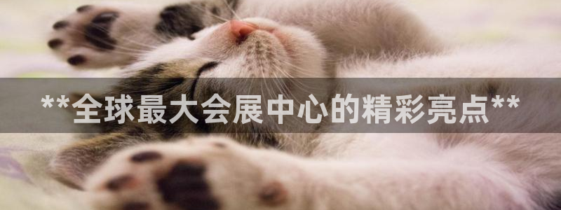 果博怎么注册账号和密码：**全球最大会展
