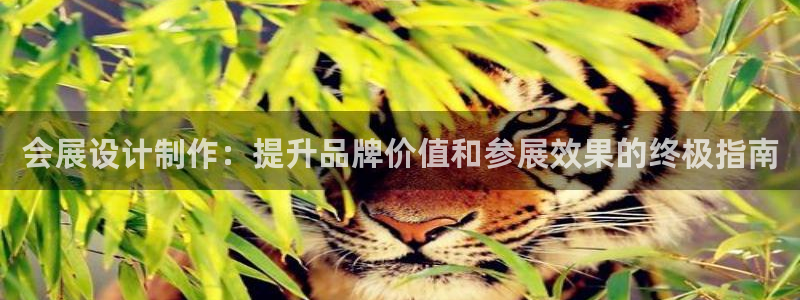 果博管理网：会展设计制作：提升品牌价值和参展效果的终极指南